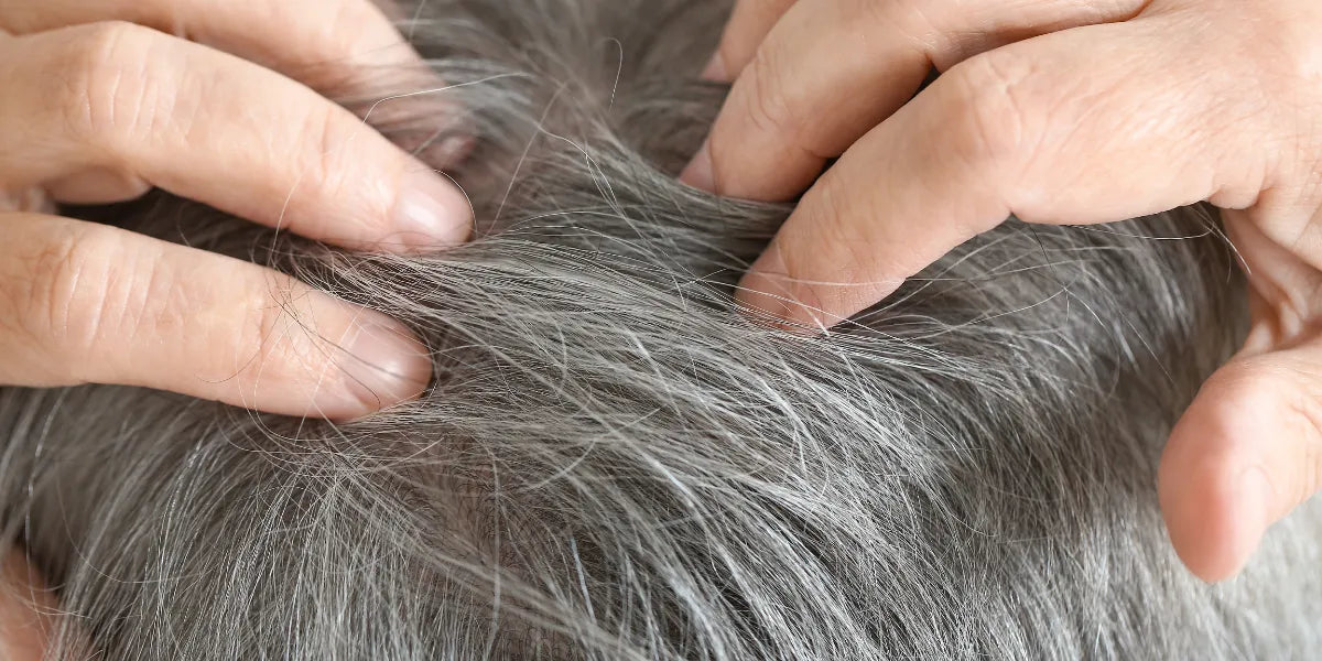 Hoe kun je grijs haar voorkomen?