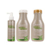 Beaver Biotin & Caffeine thickening scalp behandeling