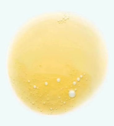 Klorane shampoo voor droog haar Mango (400 ml)