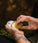 Mr. Bear Family baardbalsem - Citrus (60 ml)