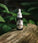 Mr. Bear Family baardolie - Citrus (30 ml)