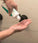 Neofollics scalp therapy pakket