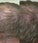 Neofollics conditioner (250 ml)