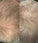 Scandinavian Biolabs haargroei behandeling (man)