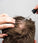 Scandinavian Biolabs serum voor mannen
