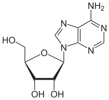 Adenosine molecuul